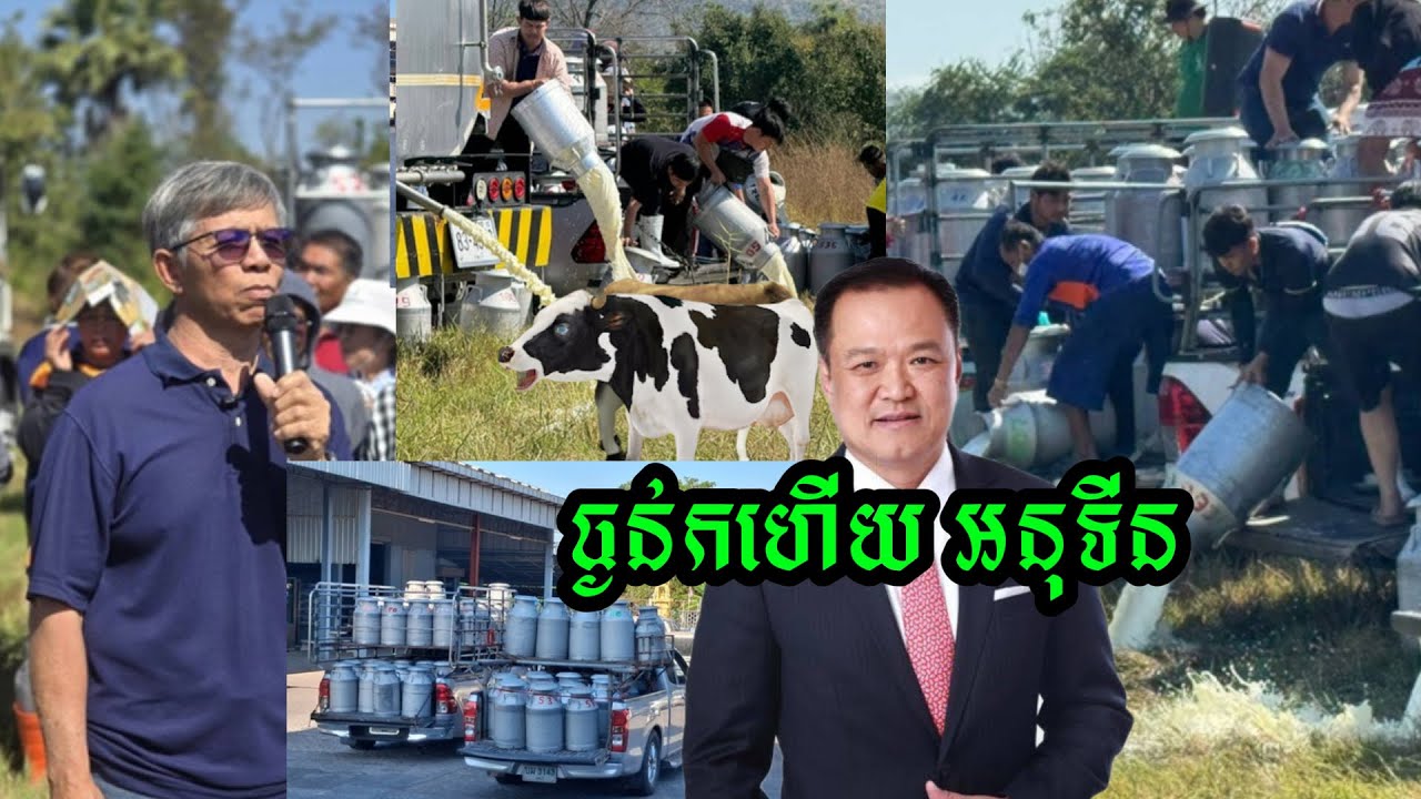 វីវរហើយ! កសិករចិញ្ចឹមគោយកទឹកដោះនៅថៃ នាំគ្នាដឹកទឹកដោះគោស្រស់ ទៅចាក់ចោលជាង ៤០ តោន