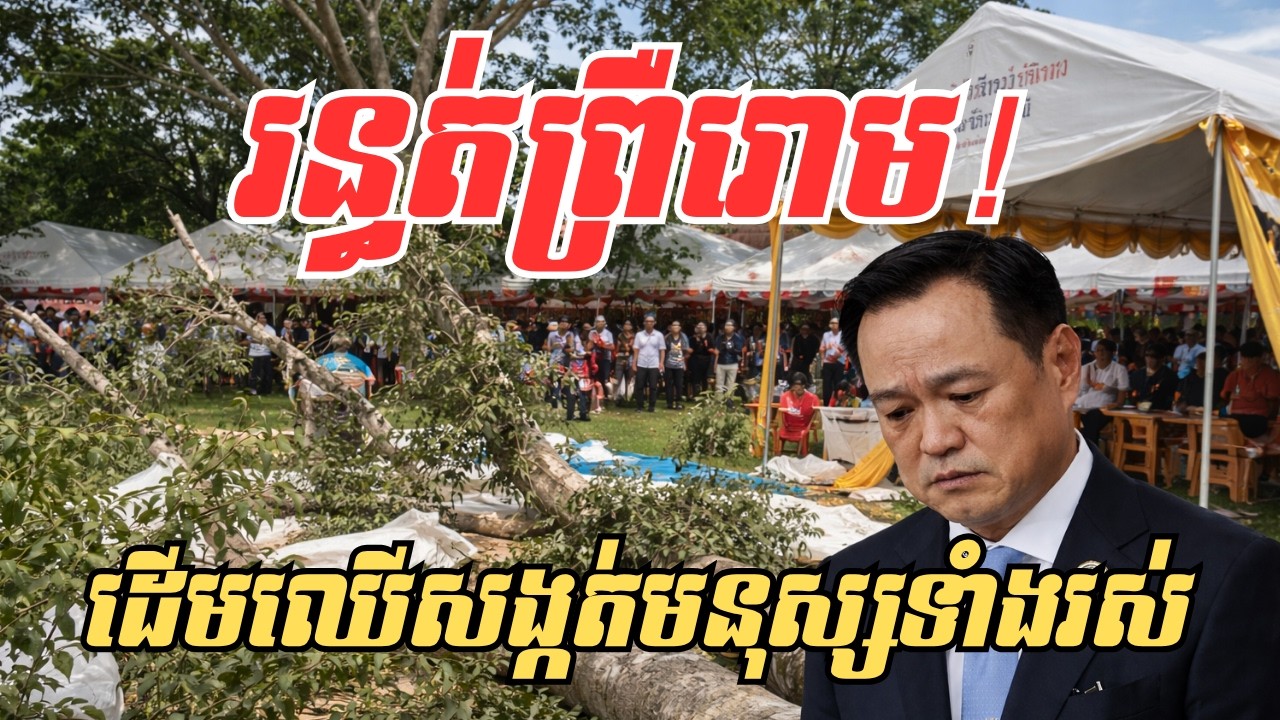 ស្ដែងៗភ្នែក! កក្រើកពេញបណ្ដាញសង្គមដើមឈើយក្សសង្កត់មនុស្សទាំងរស់នេះជាសារព្រមានដល់ប្រទេសថៃឬ?